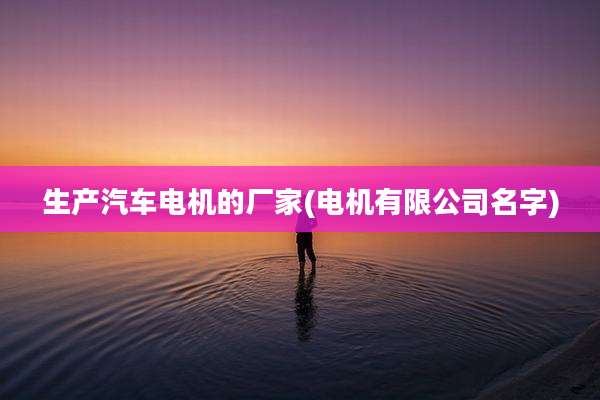 生产汽车电机的厂家(电机有限公司名字)