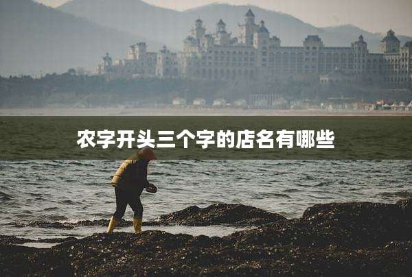 农字开头三个字的店名有哪些