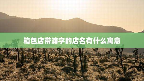 箱包店带浦字的店名有什么寓意