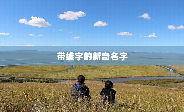 带维字的新奇名字