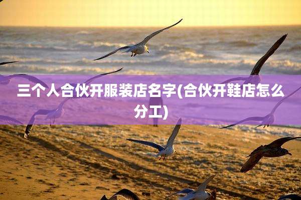三个人合伙开服装店名字(合伙开鞋店怎么分工)
