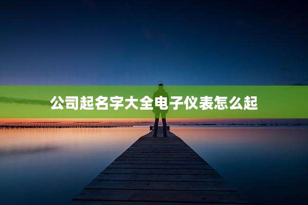 公司起名字大全电子仪表怎么起