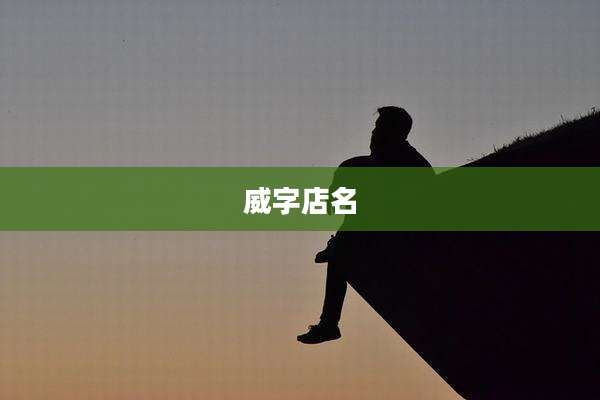 威字店名