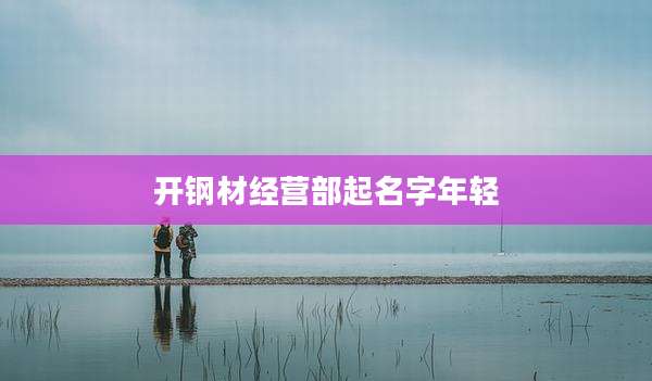 开钢材经营部起名字年轻