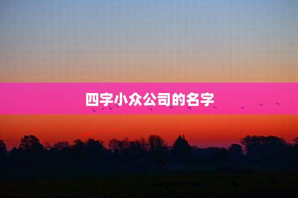 四字小众公司的名字