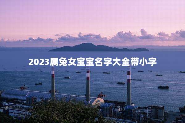 2023属兔女宝宝名字大全带小字