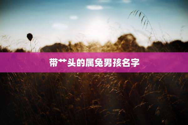 带艹头的属兔男孩名字