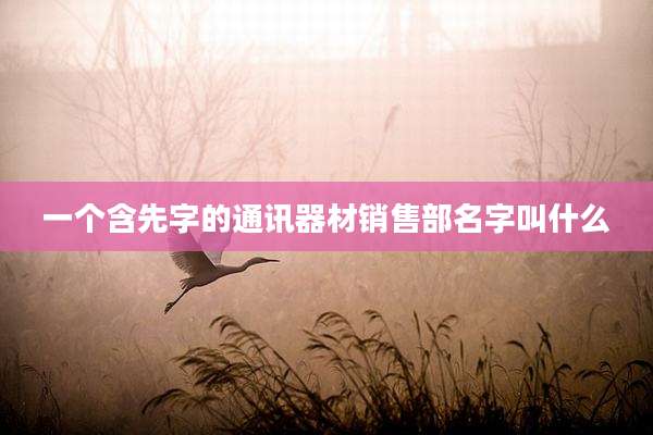 一个含先字的通讯器材销售部名字叫什么