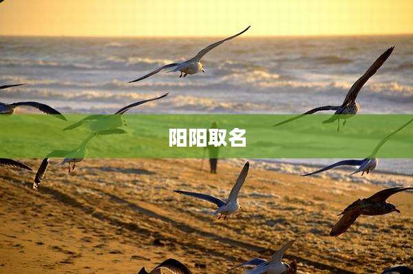 阳阳取名