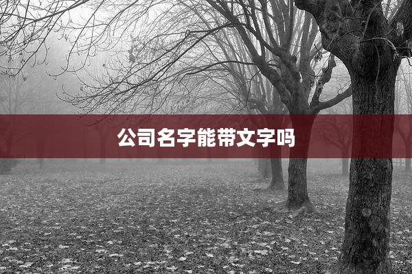 公司名字能带文字吗