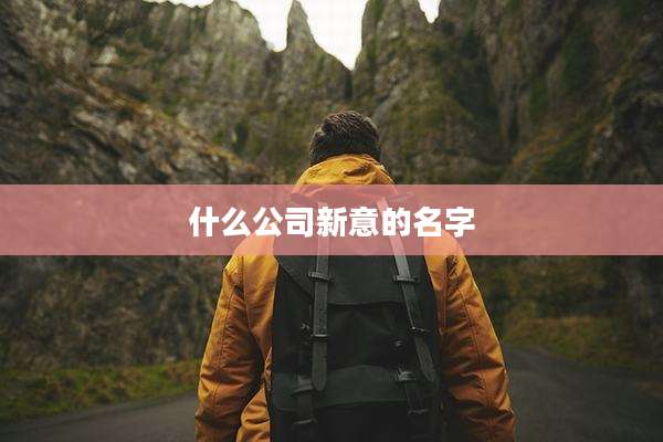 什么公司新意的名字