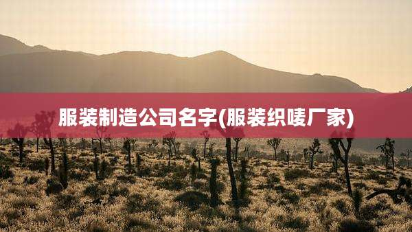 服装制造公司名字(服装织唛厂家)