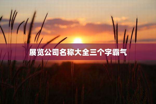 展览公司名称大全三个字霸气