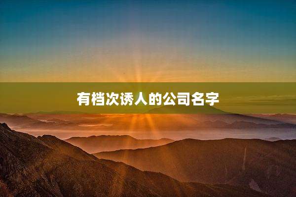 有档次诱人的公司名字