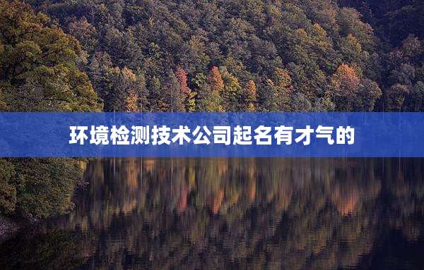 环境检测技术公司起名有才气的
