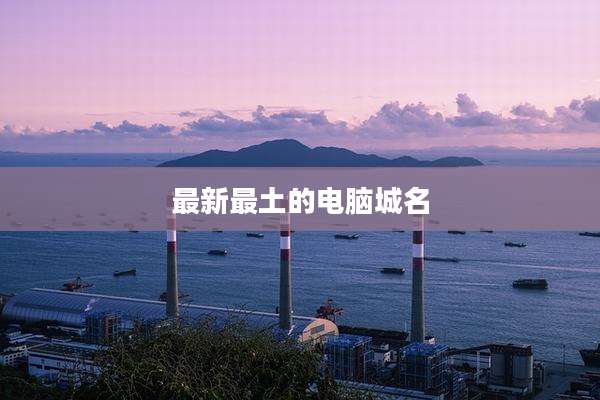 最新最土的电脑城名