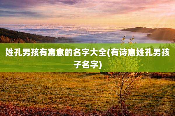 姓孔男孩有寓意的名字大全(有诗意姓孔男孩子名字)