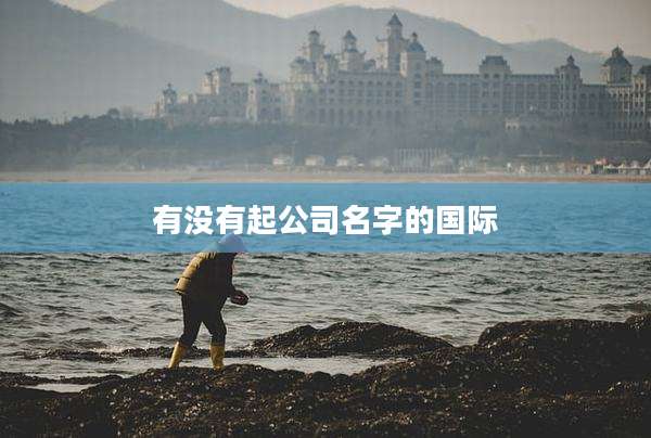 有没有起公司名字的国际