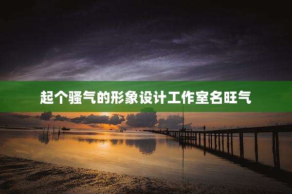 起个骚气的形象设计工作室名旺气
