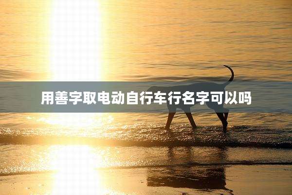 用善字取电动自行车行名字可以吗