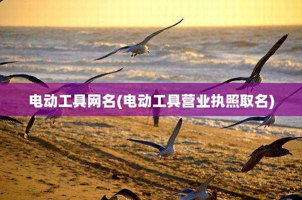 电动工具网名(电动工具营业执照取名)