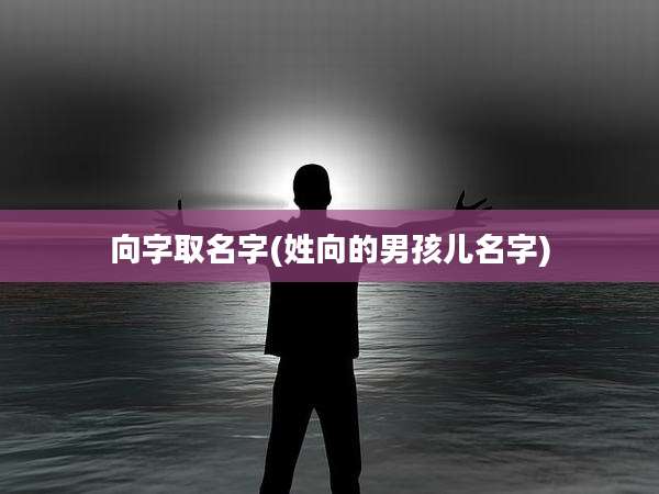 向字取名字(姓向的男孩儿名字)