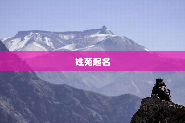 姓苑起名