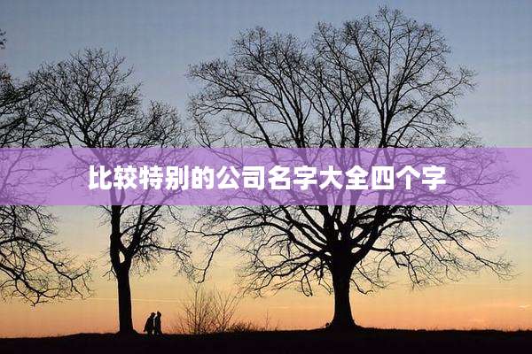 比较特别的公司名字大全四个字