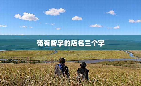 带有智字的店名三个字