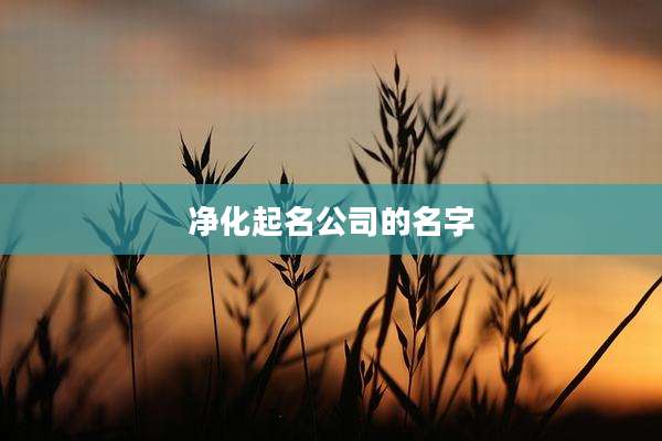 净化起名公司的名字