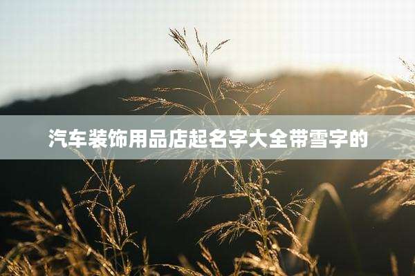 汽车装饰用品店起名字大全带雪字的