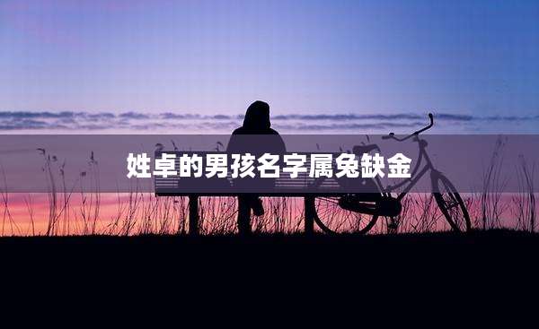 姓卓的男孩名字属兔缺金