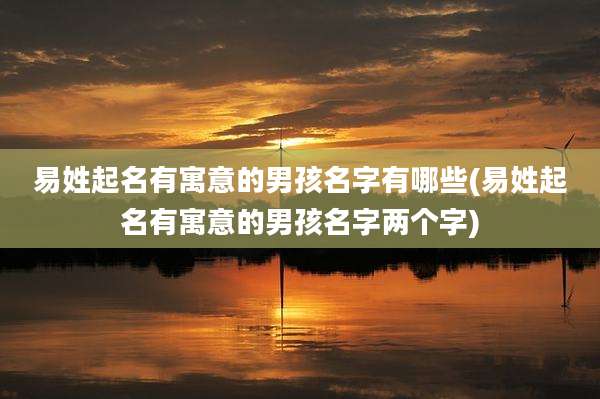 易姓起名有寓意的男孩名字有哪些(易姓起名有寓意的男孩名字两个字)