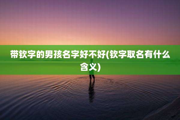 带钦字的男孩名字好不好(钦字取名有什么含义)