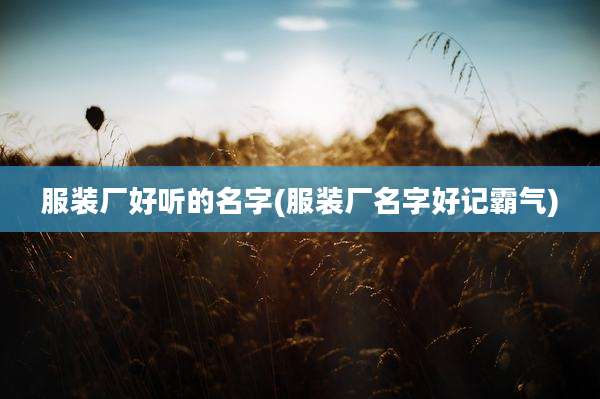 服装厂好听的名字(服装厂名字好记霸气)