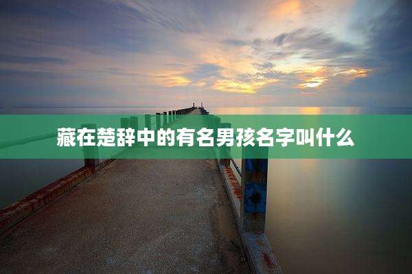 藏在楚辞中的有名男孩名字叫什么