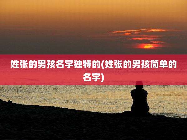 姓张的男孩名字独特的(姓张的男孩简单的名字)