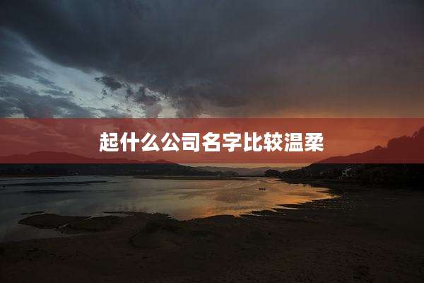 起什么公司名字比较温柔