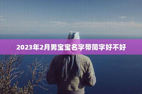 2023年2月男宝宝名字带简字好不好