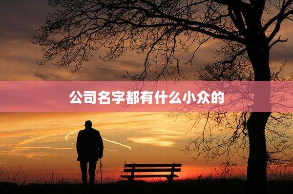 公司名字都有什么小众的