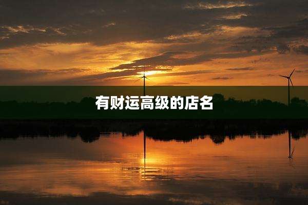 有财运高级的店名