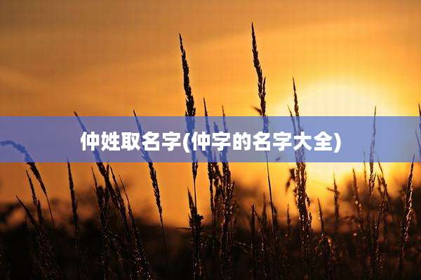 仲姓取名字(仲字的名字大全)