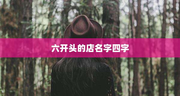 六开头的店名字四字