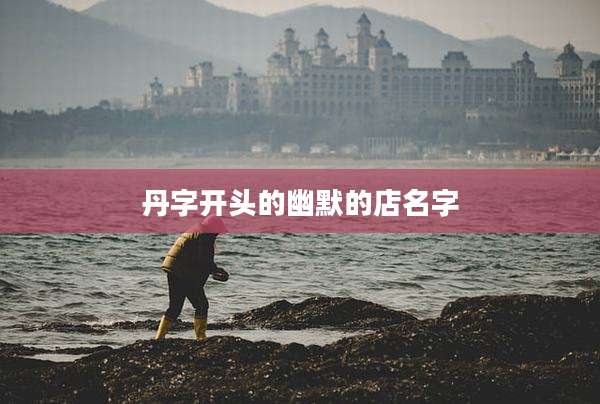 丹字开头的幽默的店名字