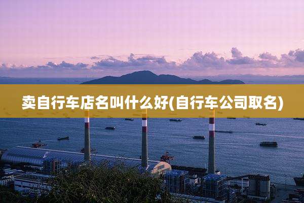 卖自行车店名叫什么好(自行车公司取名)