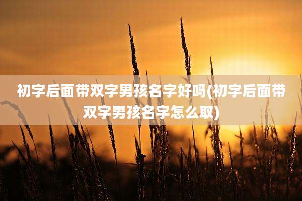 初字后面带双字男孩名字好吗(初字后面带双字男孩名字怎么取)