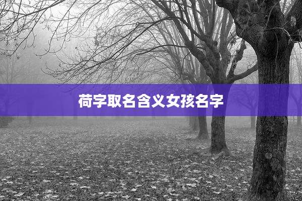 荷字取名含义女孩名字