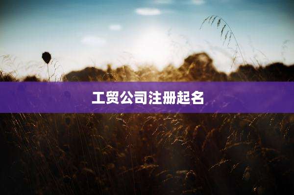 工贸公司注册起名
