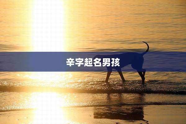 辛字起名男孩
