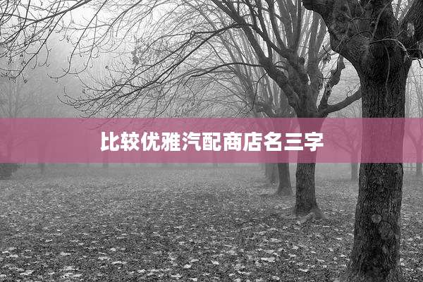 比较优雅汽配商店名三字